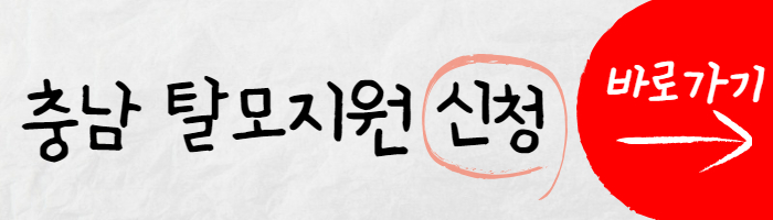 충남 탈모 지원금 신청