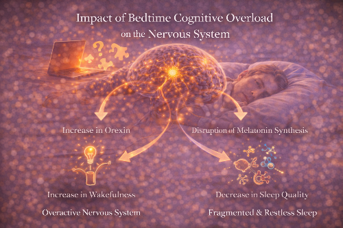 중장년이 하루를 마칠 때 생각이 많아지는 구조