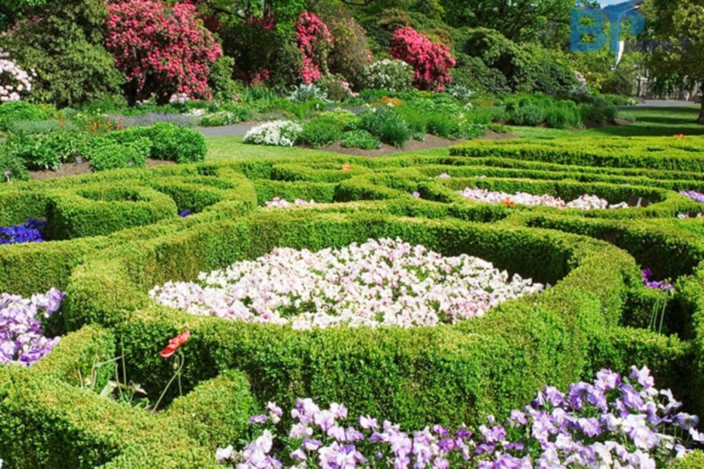 가평-베고니아새정원