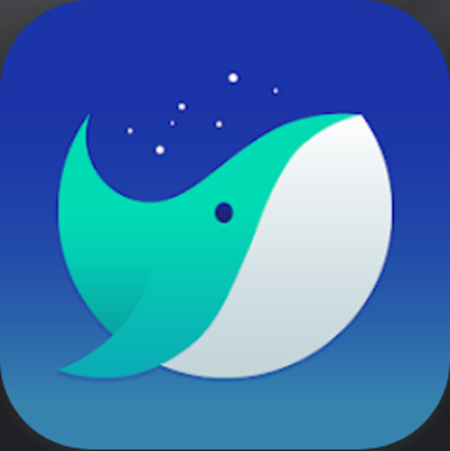 Whale&#44; 네이버 웨일 브라우저