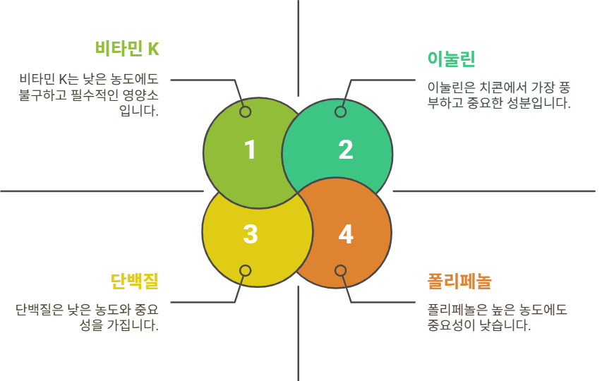 치콘 영양