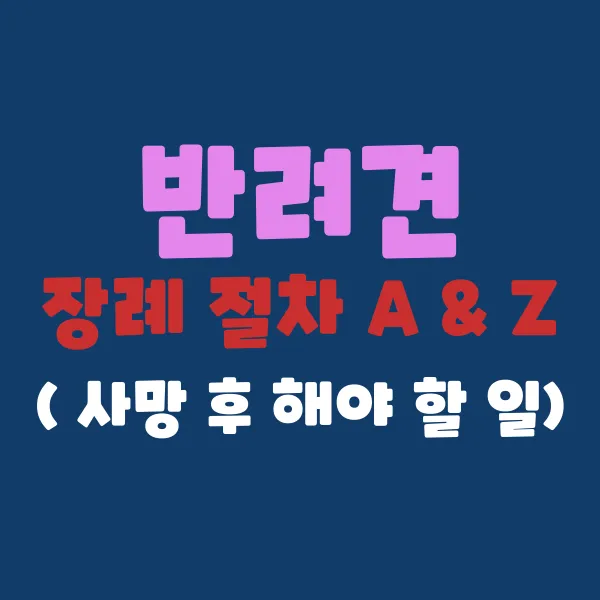 반려견 장례 절차 A to Z