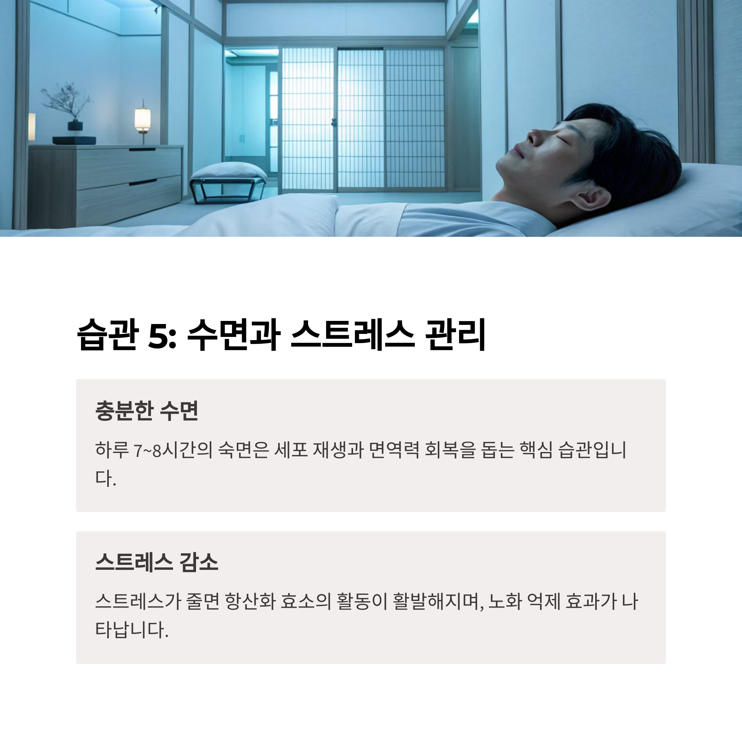 텍스트이미지