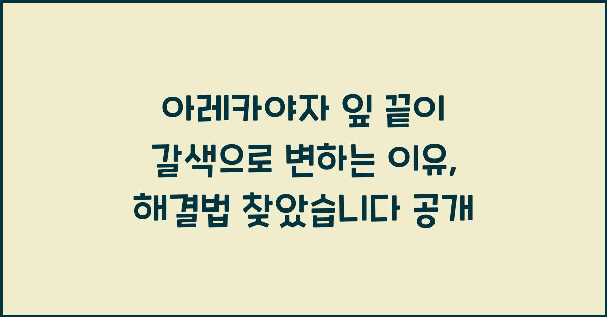 아레카야자 잎 끝이 갈색으로 변하는 이유, 해결법 찾았습니다