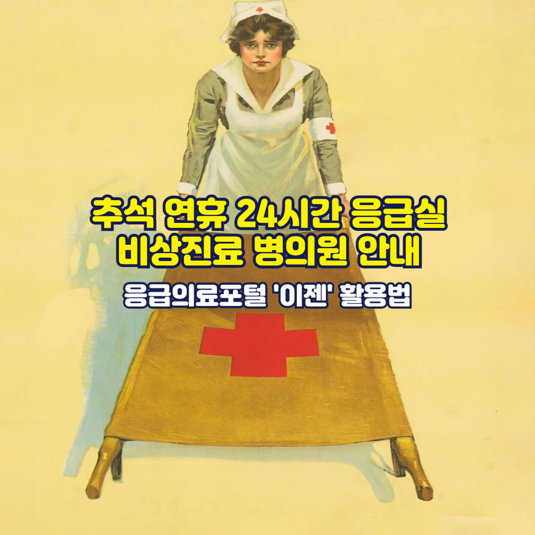 추석 연휴 24시간 응급실 비상진료 병의원 안내 응급의료포털 '이젠' 활용법