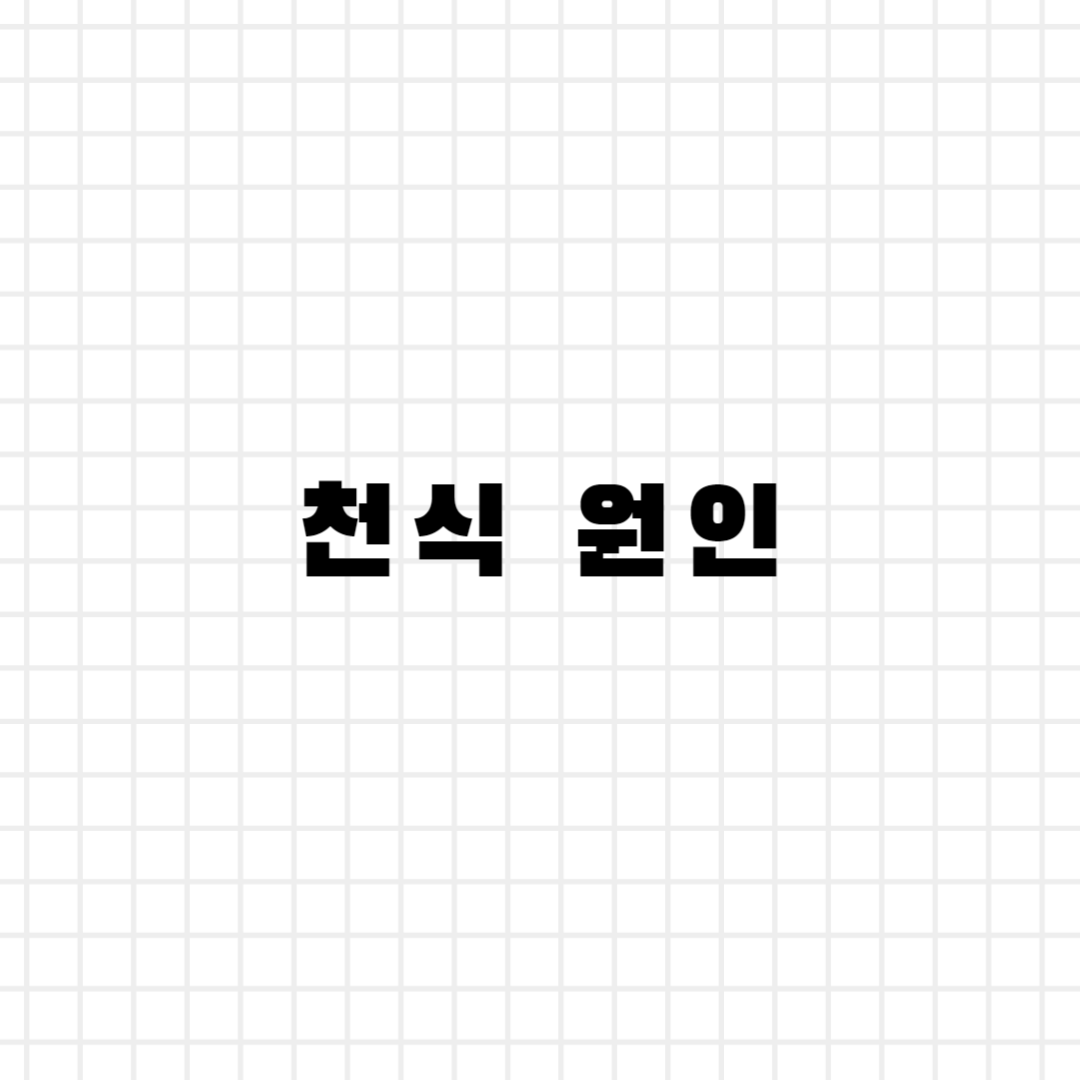 천식 원인