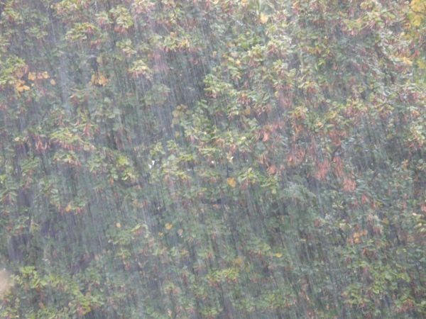 1호 태풍 우딥 경로 (+ 실시간 현재 위치) 