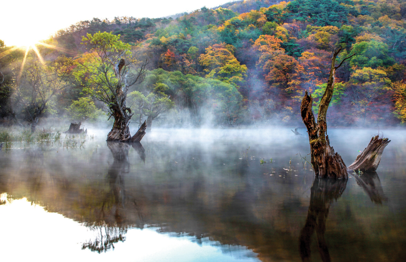 주산지