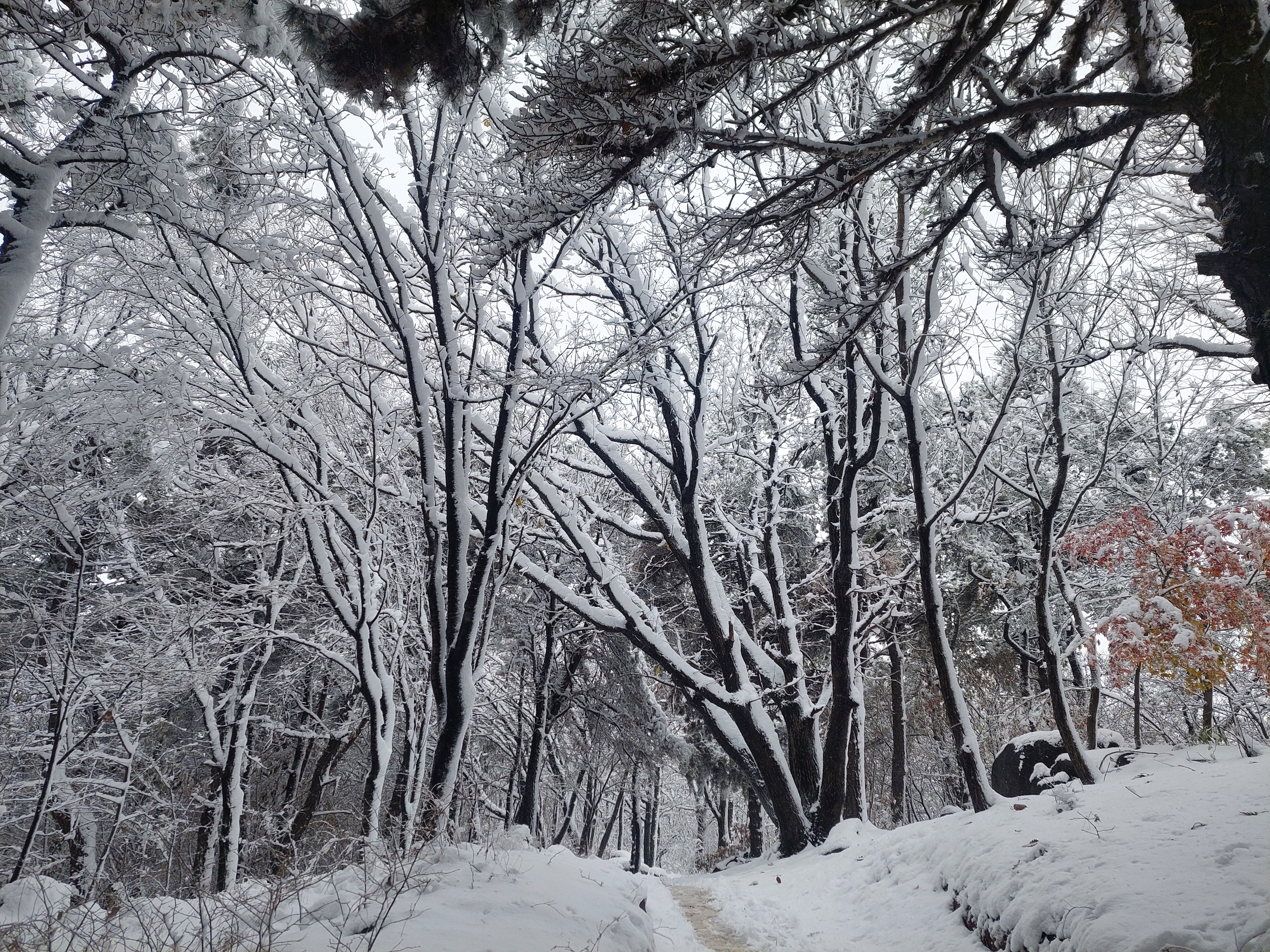 백련산안산