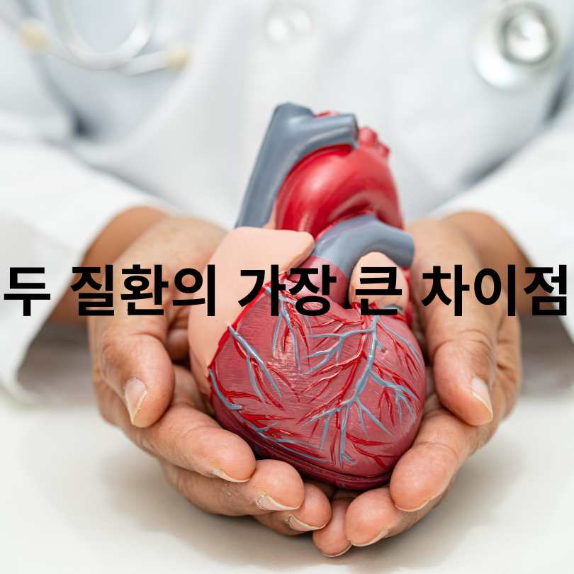 협심증과 심근경색의 결정적 차이