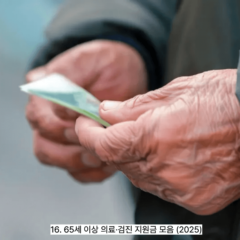 16. 65세 이상 의료&middot;검진 지원금 모음 (2025)