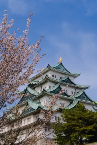 나고야 여행코스 여름에 가볼만한 명소 3곳 추천 일정표_6