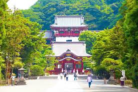 일본 가을 축제