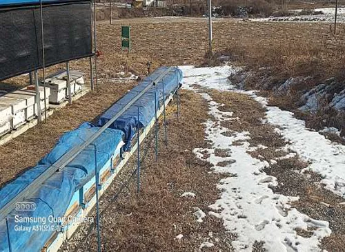 홍천동키마을체험장