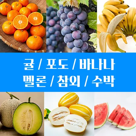 다이어트에 좋은 과일