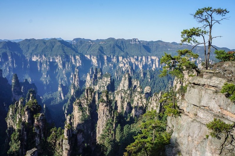 장가계 천자산 일대에서 바라본 수직 절벽 군락의 장엄한 전경