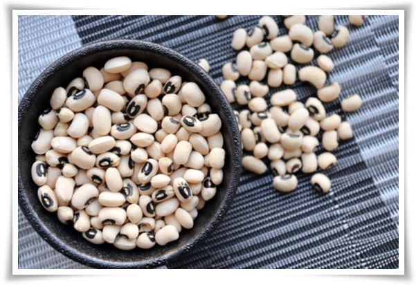 텃밭 "5월, 동부콩 심으세요!" 텃밭의 숨은 보석 알고보면 매력 덩어리!