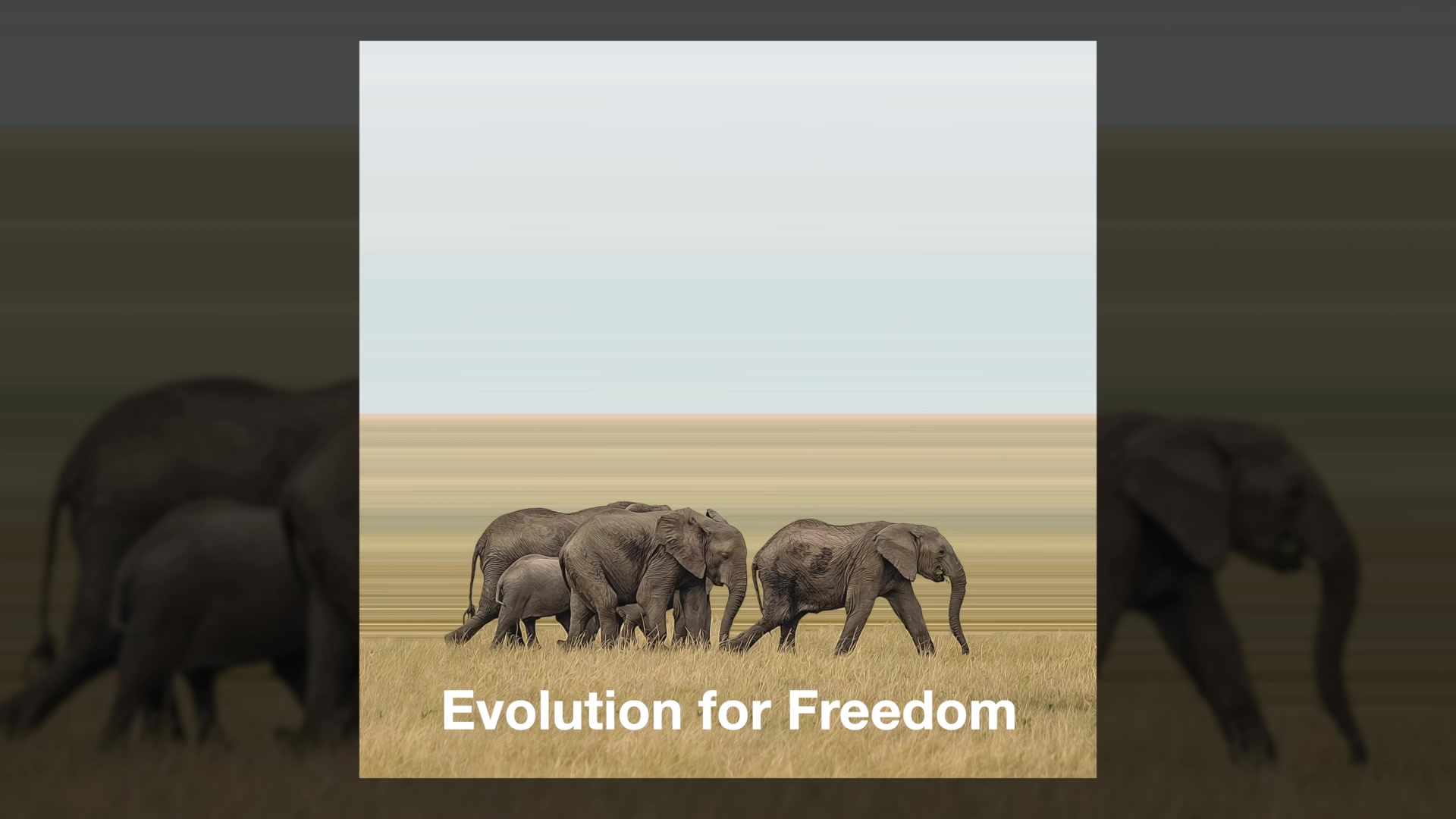 Evolution for Freedom