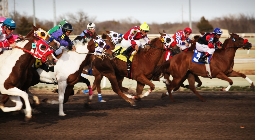 경마장의 말 이미지