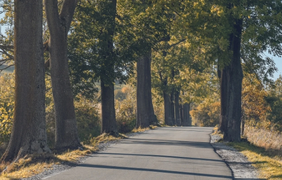 웰니스 여행, 진짜 힐링되는 국내 스팟 추천