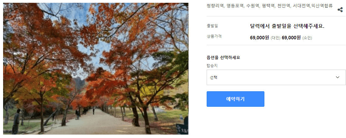 가을여행 단풍 기차여행 추천