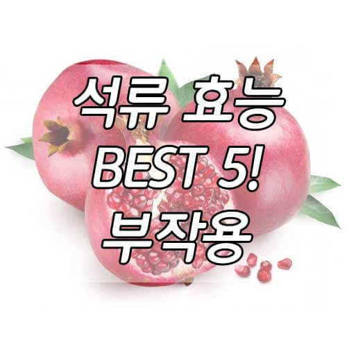 석류 효능 BEST 5 와 석류 부작용에 대해 알아보자!