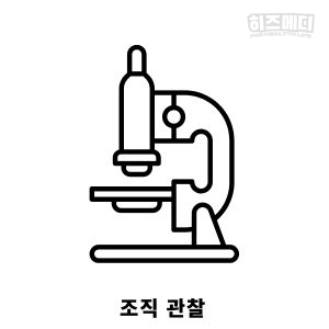 장상피화생