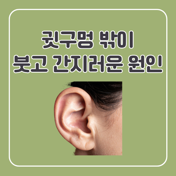 외이도염 원인