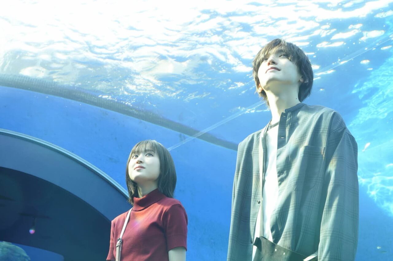 수족관에 간 토루와 마오리