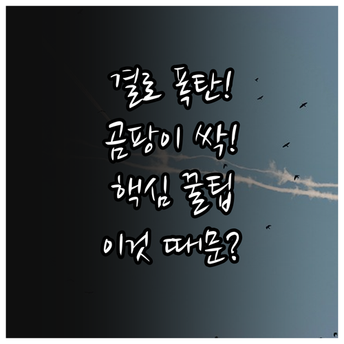 겨울철 창문 결로 발생 원인과 곰팡이..