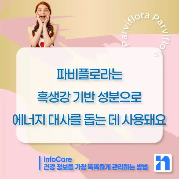 흑생강 파비플로라 효능