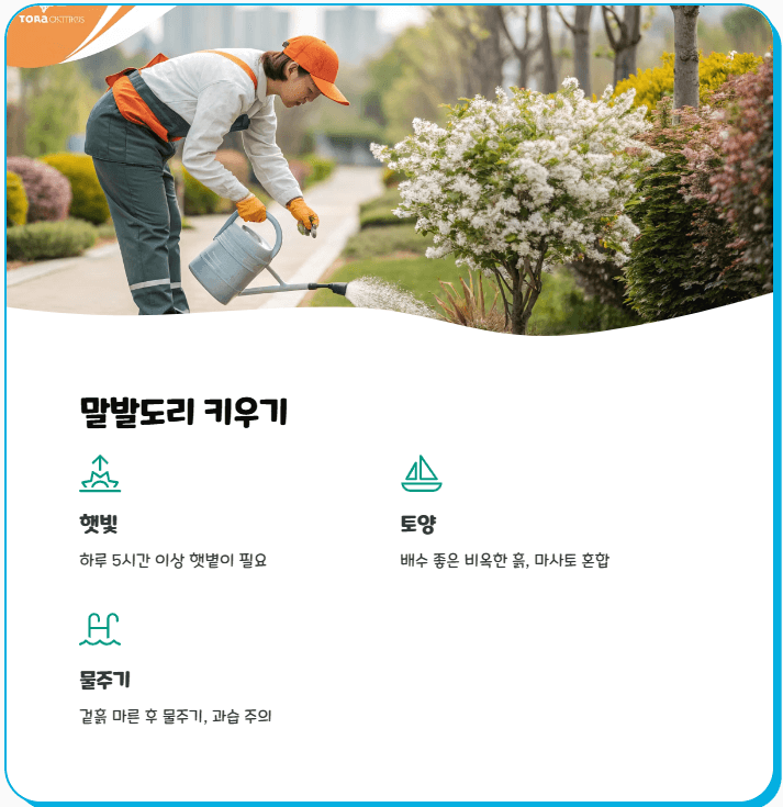 말발도리 키우기