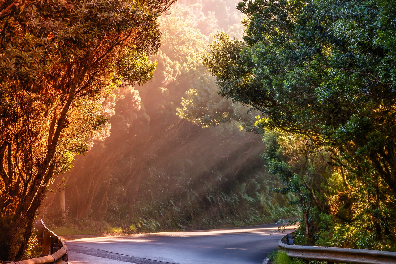 인생은 아름다워