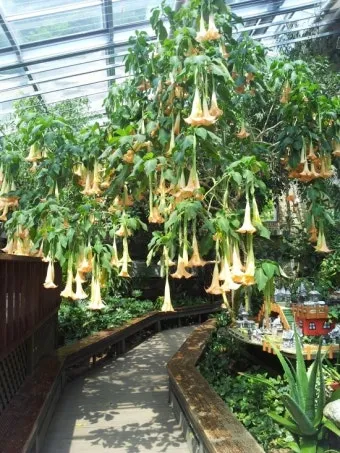 낙엽처럼 살아온 내 모습이 악보 완벽 연주 가이드_10