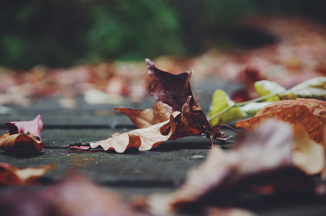 Seasons.