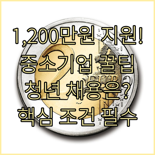 중소기업 청년 채용 시 1200만원 ..