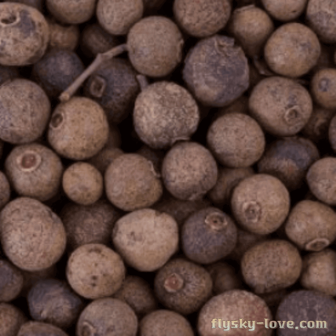 향신료 올스파이스