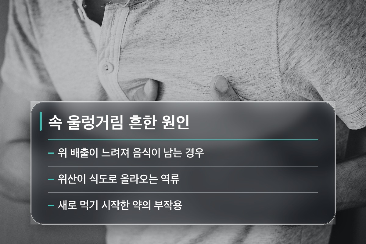 속 울렁거림 속 울렁거림의 가장 흔한 원인은 따로 있습니다