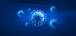 신종인간코로나바이러스 증상