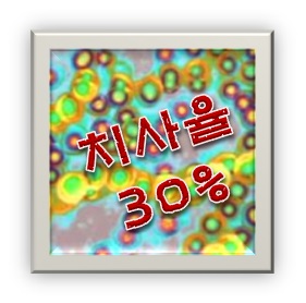 치사율 30%의 일본전염병