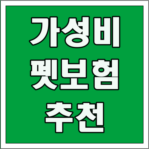 가성비 펫보험 추천 글씨 썸네일