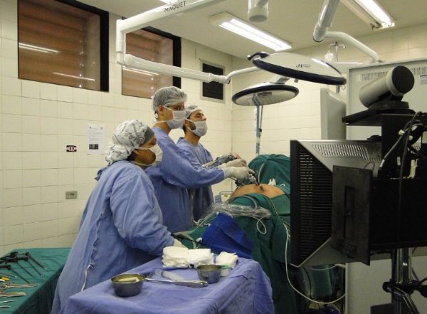 비뇨생식계 의학용어 어근 상세정리