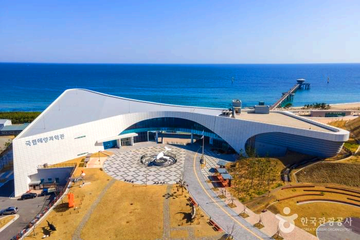 바다앞에 과학관이 건물이 있다.