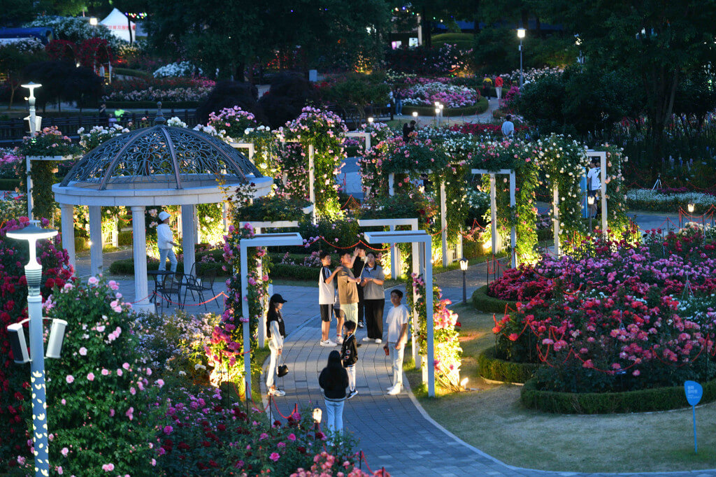 2025 곡성세계장미축제 일정, 입장권, 주차 정보, 곡성몰 최대 50% 할인 혜택까지!