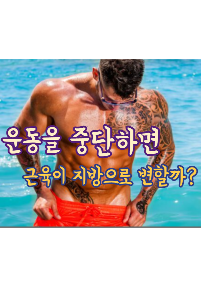 1.운동을 중단하면 근육이 지방으로 변할까?