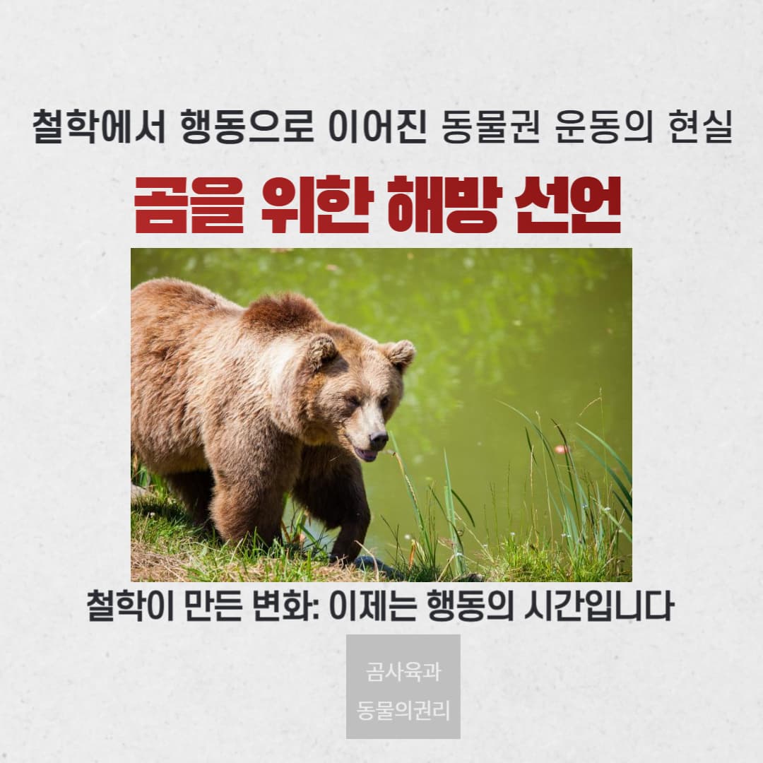 곰을 위한 해방 선언 : 철학에서 행동으로 이어진 동물권 운동의 현실