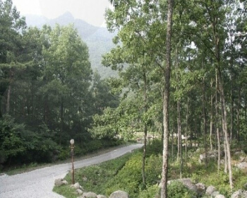 비슬산 자연휴양림_5