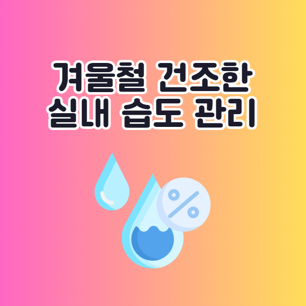 겨울철 실내 적정 습도 올리는 방법 총정리