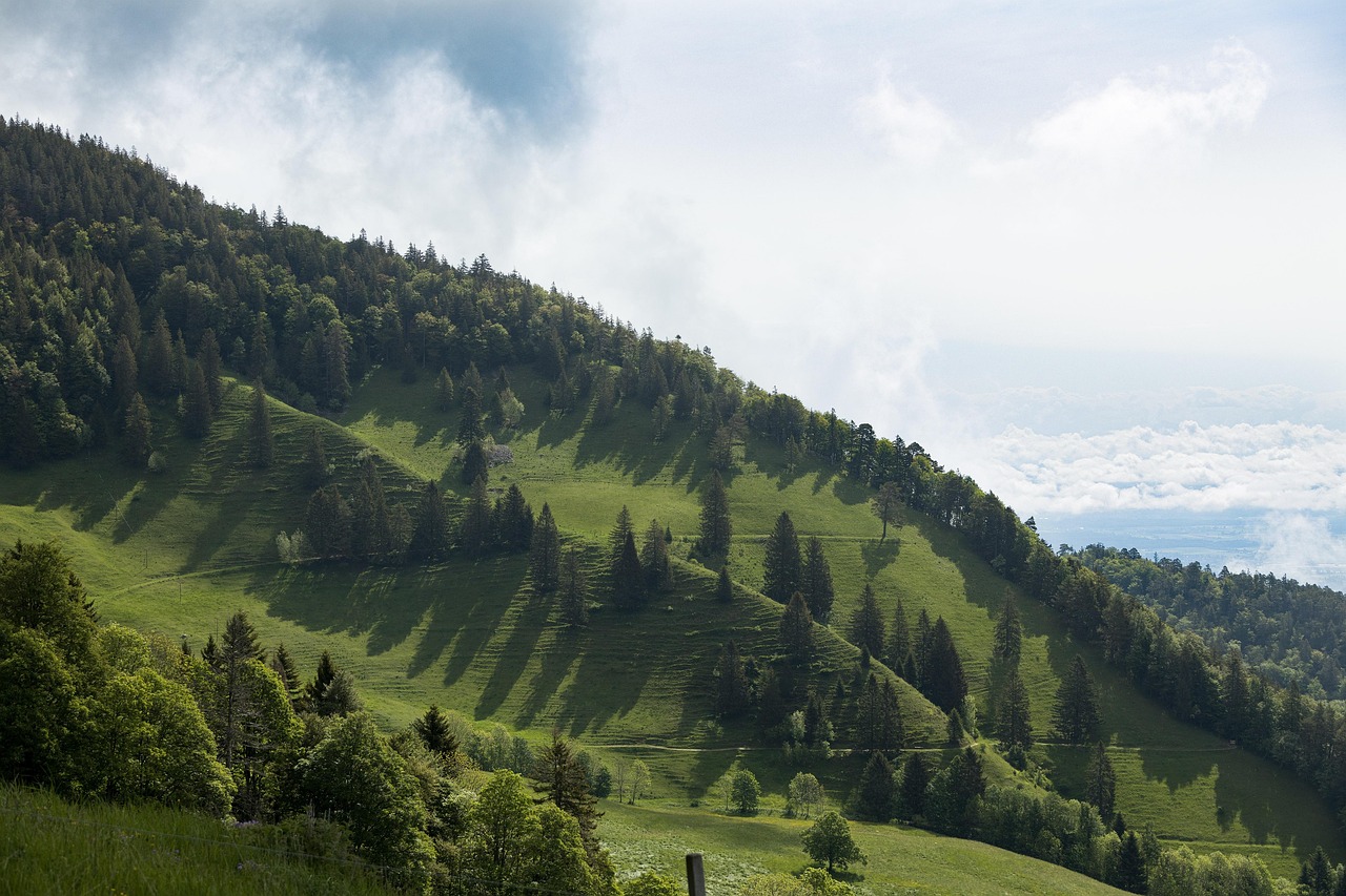 EU의 탄소중립 전략과 CBAM의 연결고리 관련 사진