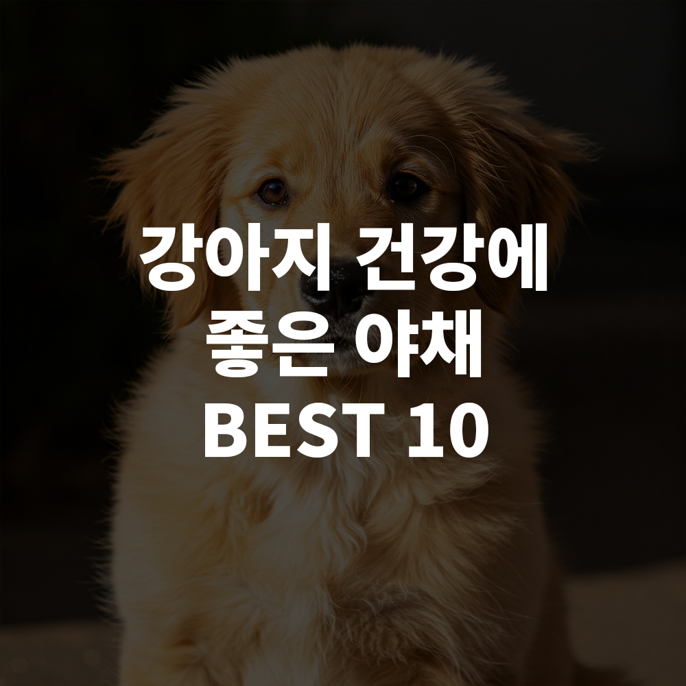 강아지가 먹으면 건강에 좋은 야채 10가지